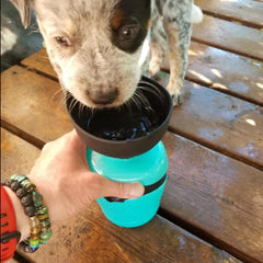 Portable Dog Water Bottle with Collapsible Bowl