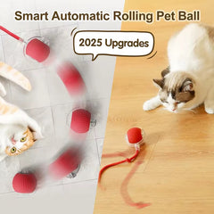 Pet Smart Ball Toy – Interactive Fun for Your Furry Friend