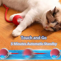 Pet Smart Ball Toy – Interactive Fun for Your Furry Friend