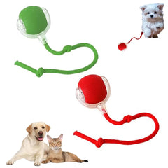 Pet Smart Ball Toy – Interactive Fun for Your Furry Friend