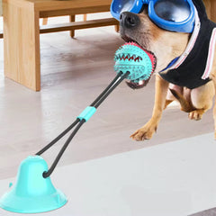 Suction Cup Tug Toy for Dogs – Durable & Interactive Playtime Solution