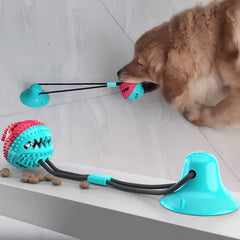 Suction Cup Tug Toy for Dogs – Durable & Interactive Playtime Solution