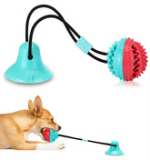 Suction Cup Tug Toy for Dogs – Durable & Interactive Playtime Solution