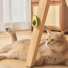 Avocado Catnip Rotating Ball – The Ultimate Playtime Treat for Your Cat (Pack of 2)