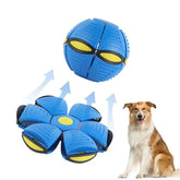 Magic Flying Saucer Ball Toy for Dogs – Interactive & Durable Pet Toy
