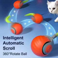 Speedy Tail 2.0 Smart Rolling Cat Toy