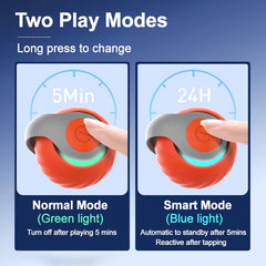 Speedy Tail 2.0 Smart Rolling Cat Toy