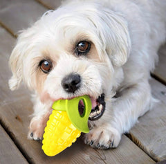 Veggie Series Corn Squeaky Chew Toys for Dogs & Puppies