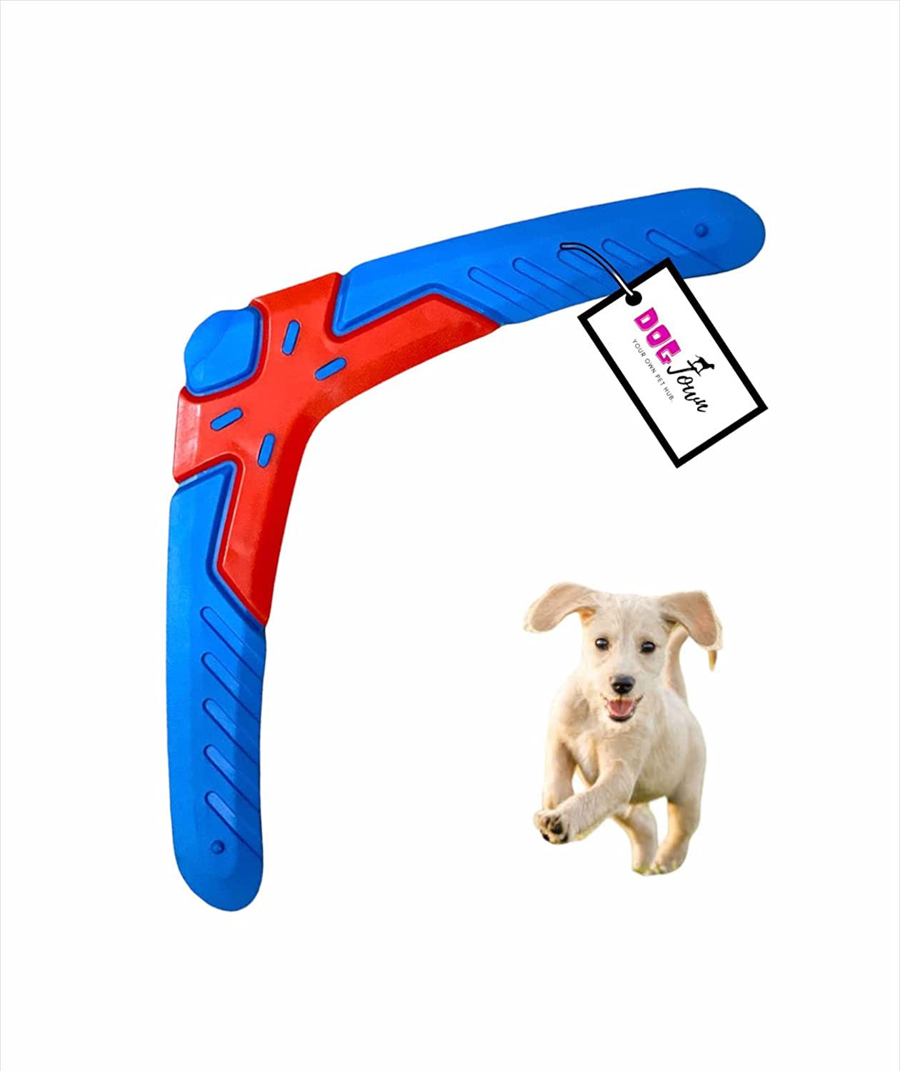 Squeaky Future Boomerang Toy Color May Vary dogtownindia