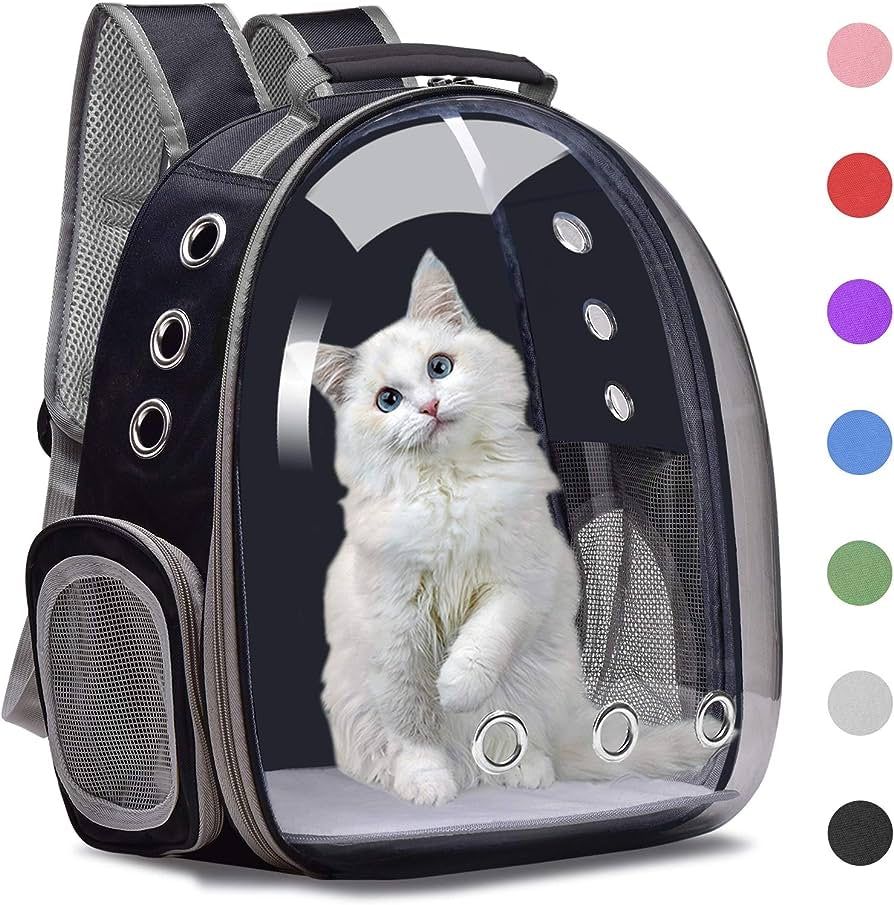 Transparent Capsule Breathable Backpack for Puppies & Cats