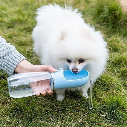 Pet Portable Drinking Water Bottle with Push Button