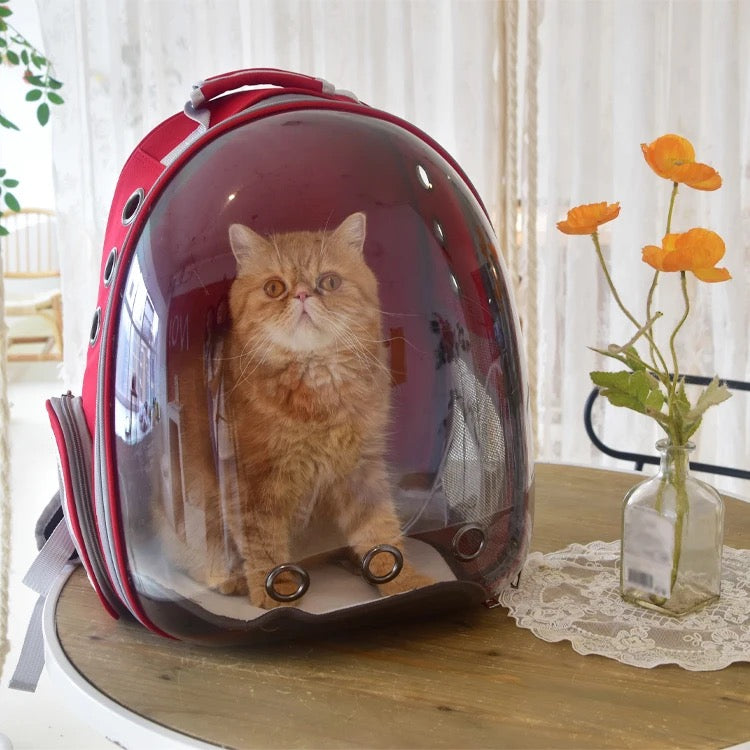 Space Capsule Pet Backpack - Stylish Carrier for Cats and Small Dogs