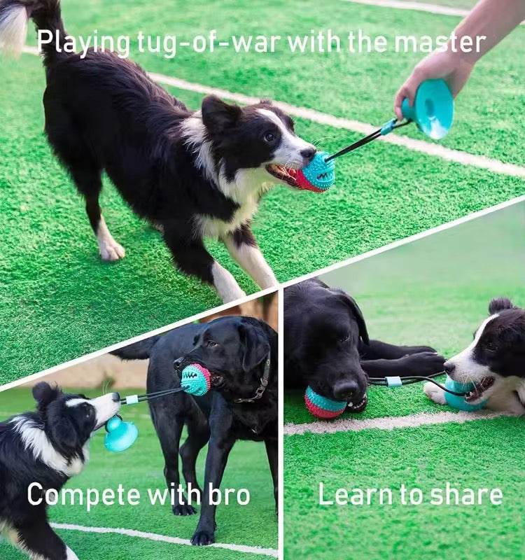Suction Cup Tug Toy for Dogs – Durable & Interactive Playtime Solution