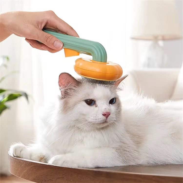 Pet Pumpkin Self-Cleaning Grooming Brush