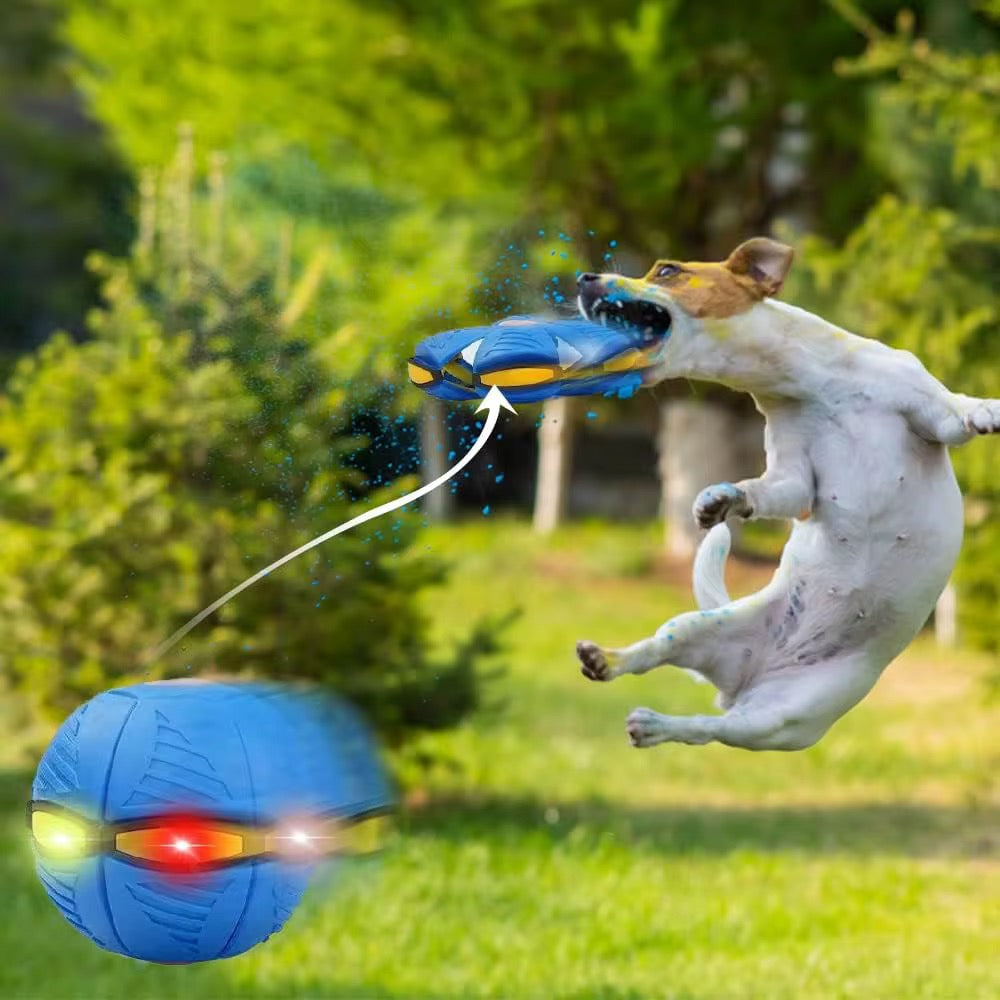 Magic Flying Saucer Ball Toy for Dogs – Interactive & Durable Pet Toy