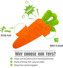 Veggie Series Carrot Squeaky Chew Toys for Dogs & Puppies