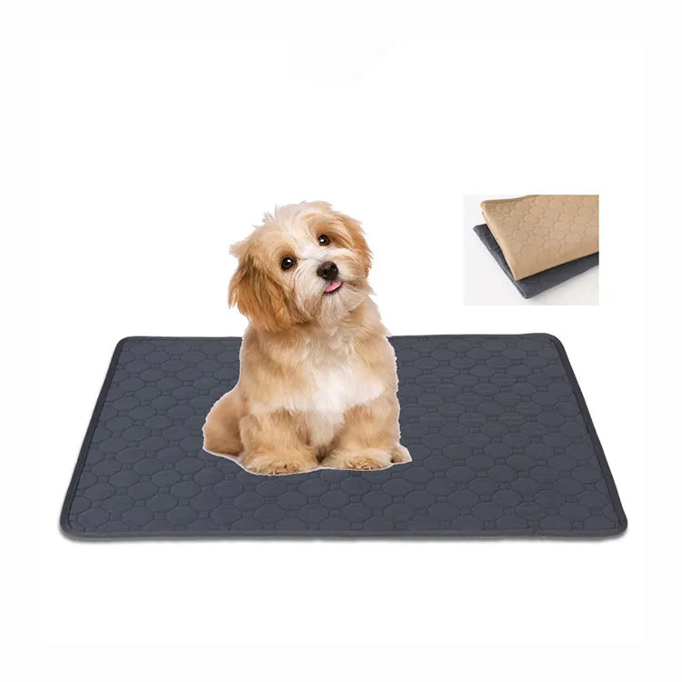 Washable Reusable Training Pads for Dogs & Puppies Mats for Dogs| Trainings Pee and Potty Pads Large