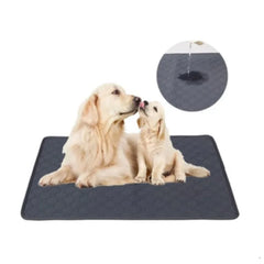 Washable Reusable Training Pads for Dogs & Puppies Mats for Dogs| Trainings Pee and Potty Pads Large