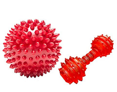 Spike Dental Chew Toy Spike Ball & Dumbbell for Dogs