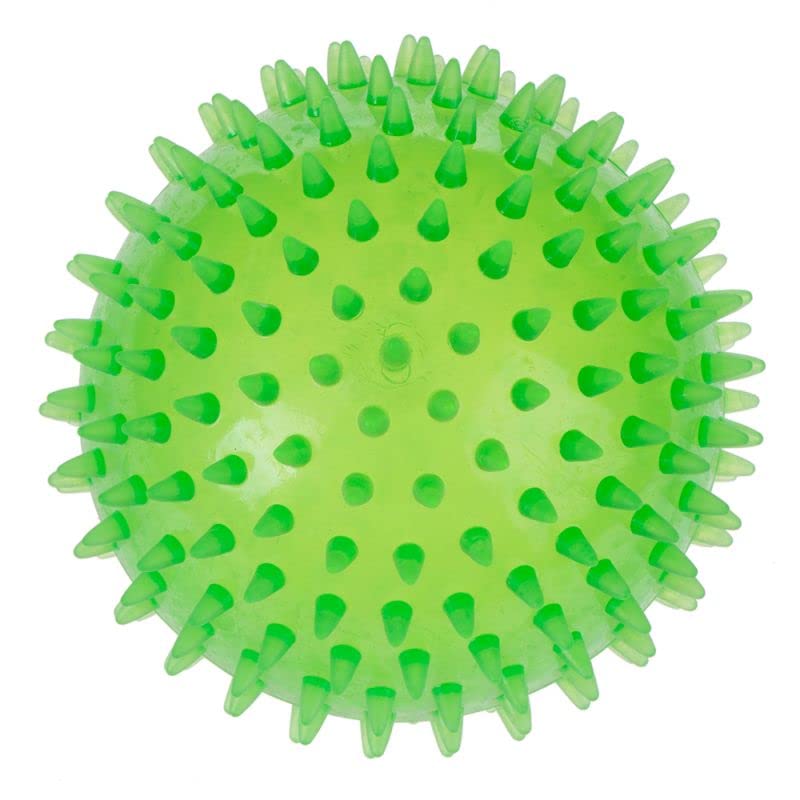 Solid Spike Ball Toy for Dogs