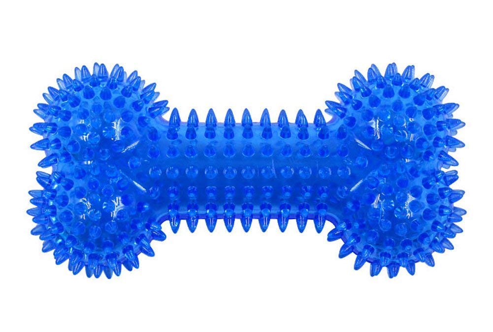 Spiked Bone Chew Toy