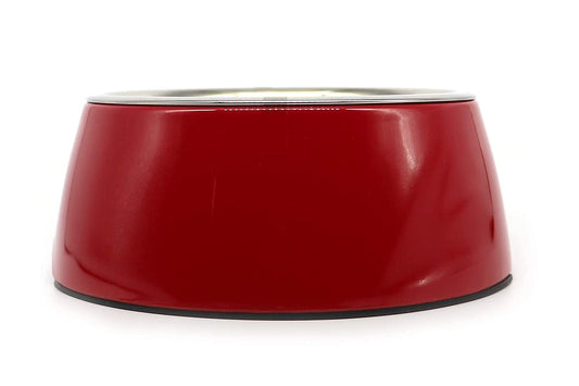 Stainless Steel and Melamine Designer Dog Bowl