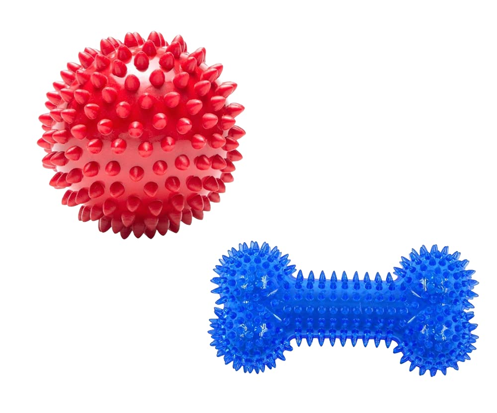 Spike Dental Chew Toy (Combo of 2)