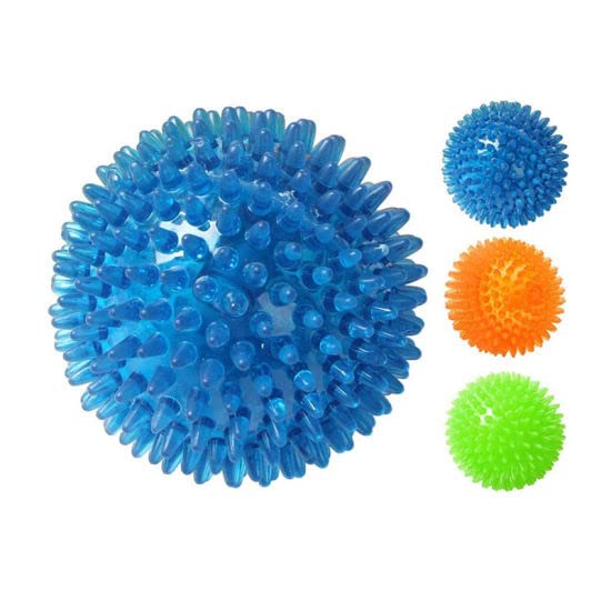 Combo of Spiked Chew Toy(Combo of 4)