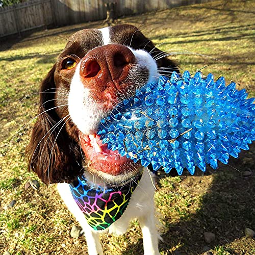 Spike Rugby Small Chew Toy