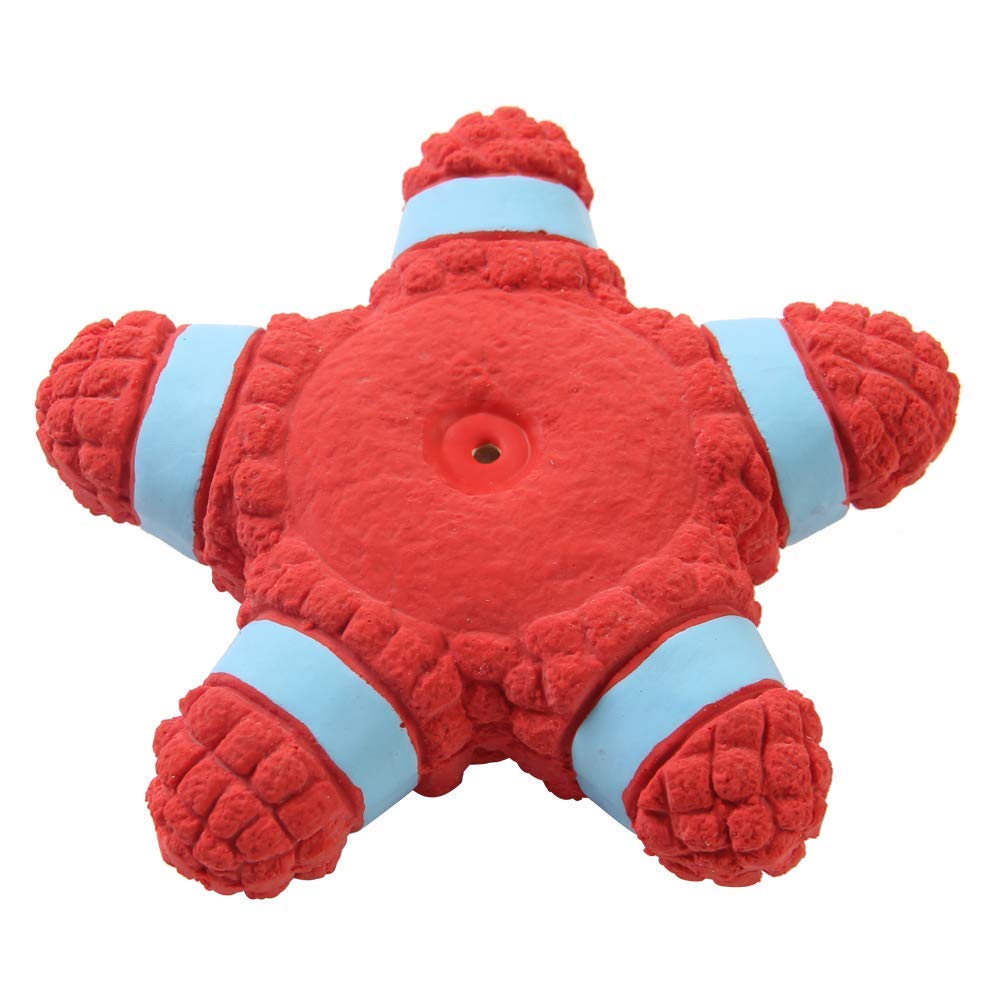 Squeaky Star Chew Toy