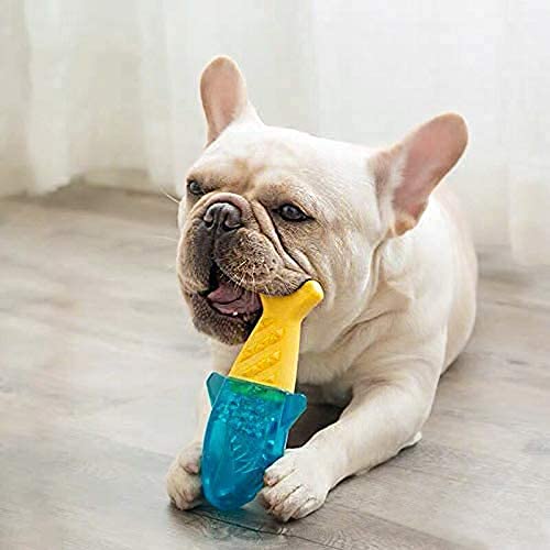 Cooling Fish and Bone Teether Durable Chew Toy