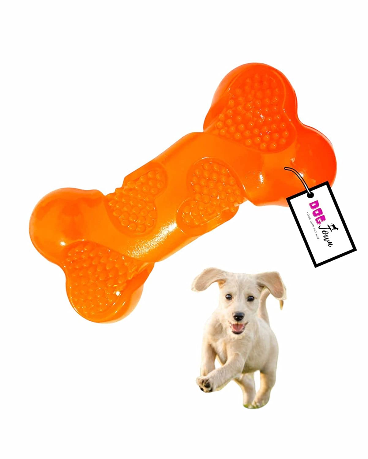 Dental Chew Bone Squeaky Toy