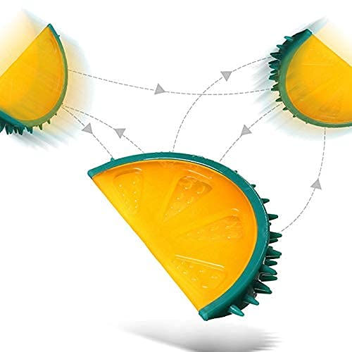 Interactive Fruit Lemon and Pineapple chew toy