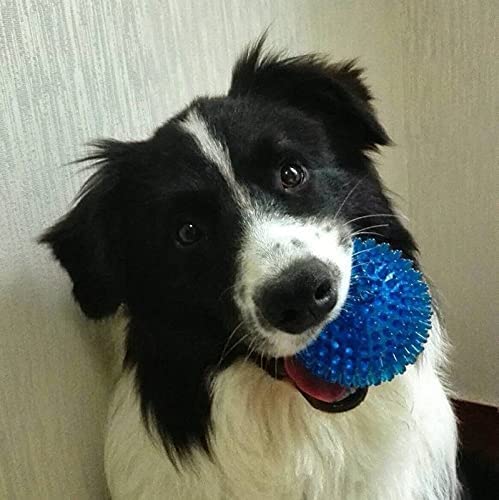 Spiked Rugby Dog Chew Toy