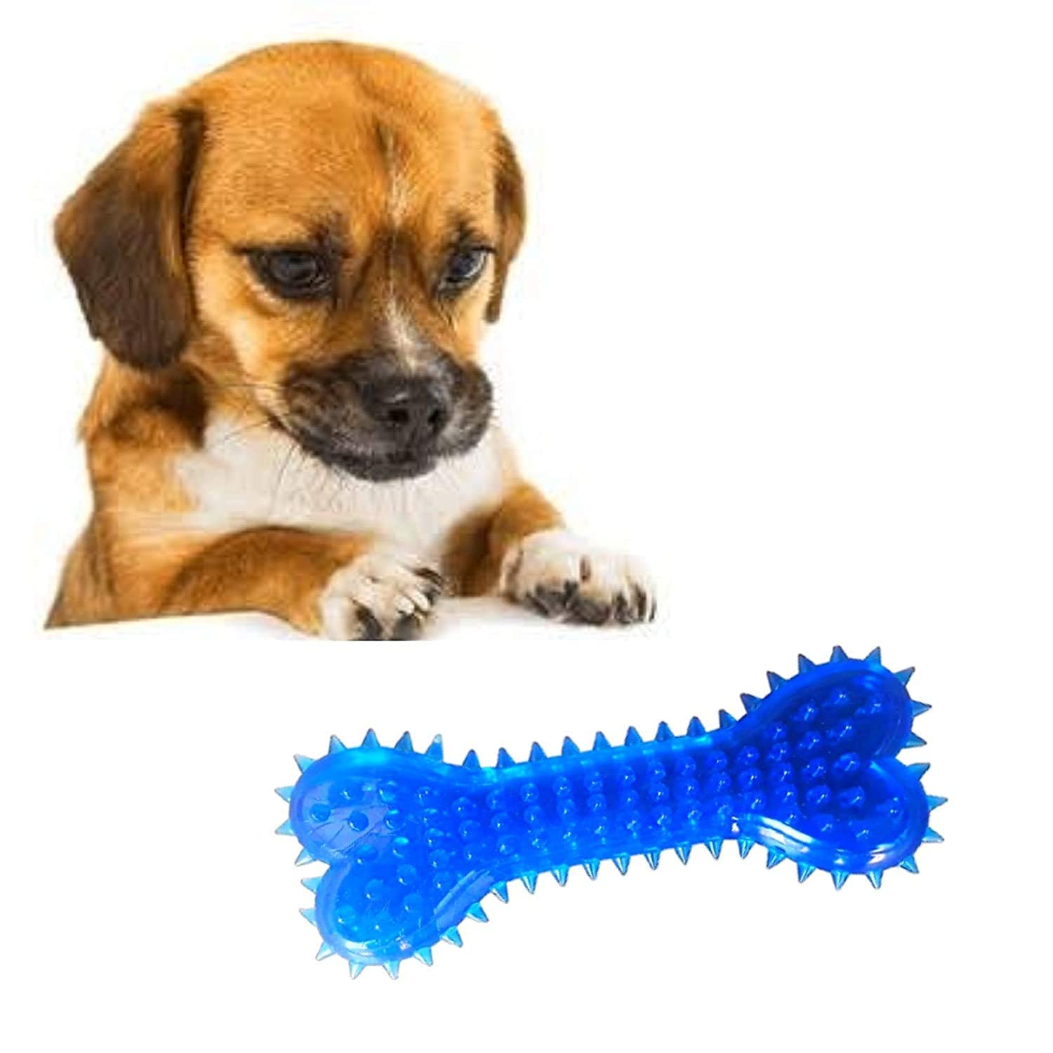 Durable Rubber Spike Bone Chew Toys