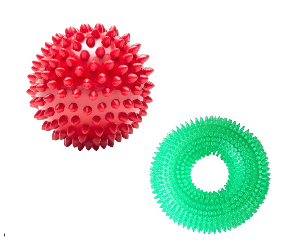 Spike Dental Chew Toy (Combo of 2)