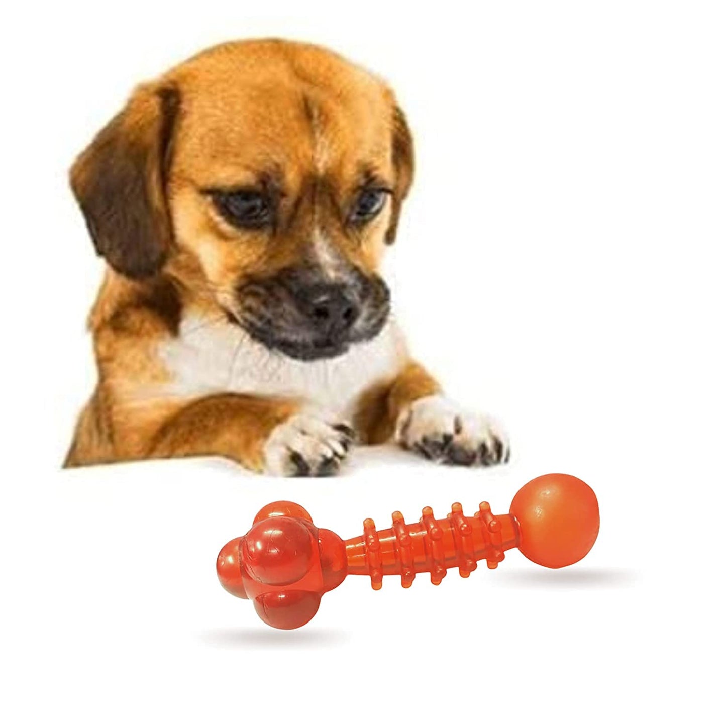 Bubble Stick Rubber Chew Toy