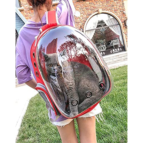 Transparent Capsule Breathable Backpack for Puppies & Cats