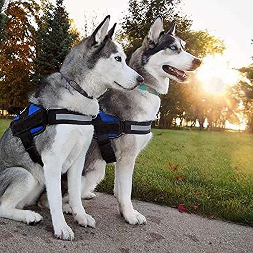 Chest Police K9 Harness Belt with Adjustable Hook & Straps