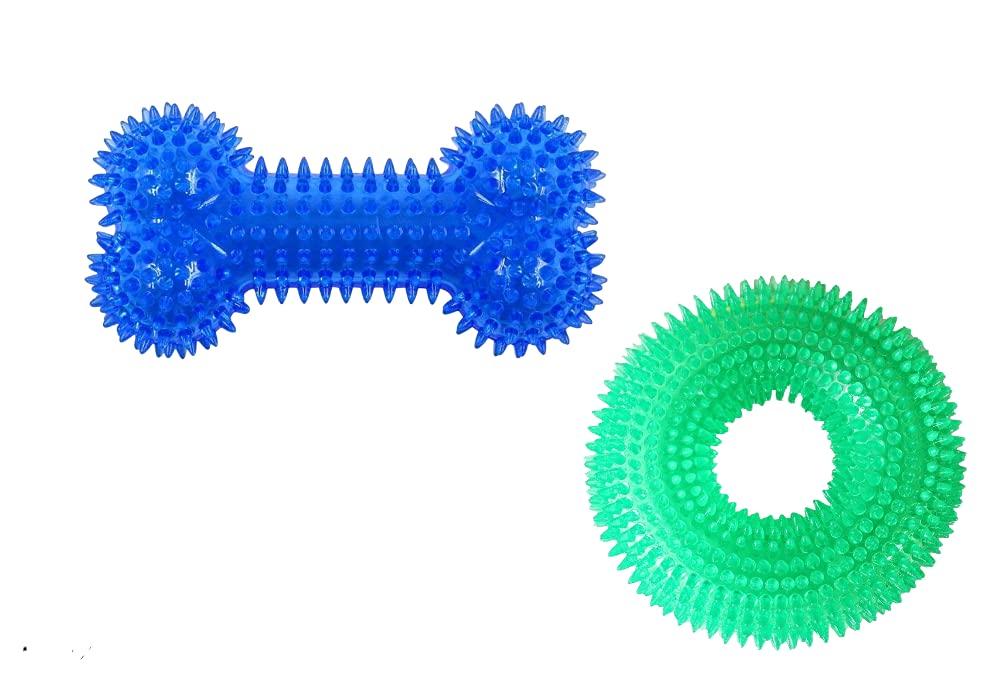 Spike Dental Chew Toy (Combo of 2)