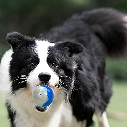 Cooling Teether Chew Toy