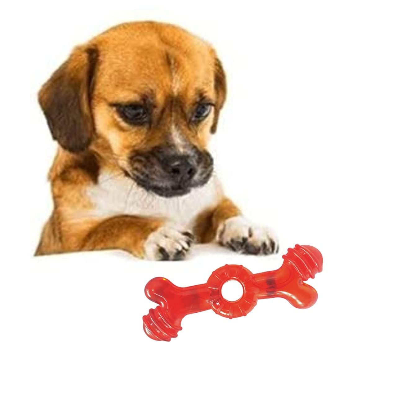 Soft Dumbell with Ring Squeaky Dog Toy