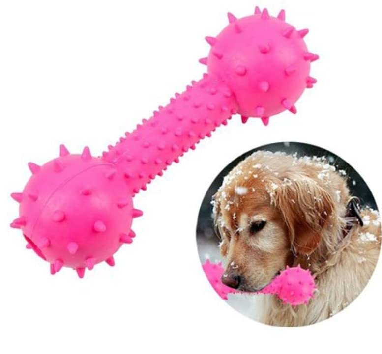 Soft Spiky Dumbell Squeaky Dog Toy