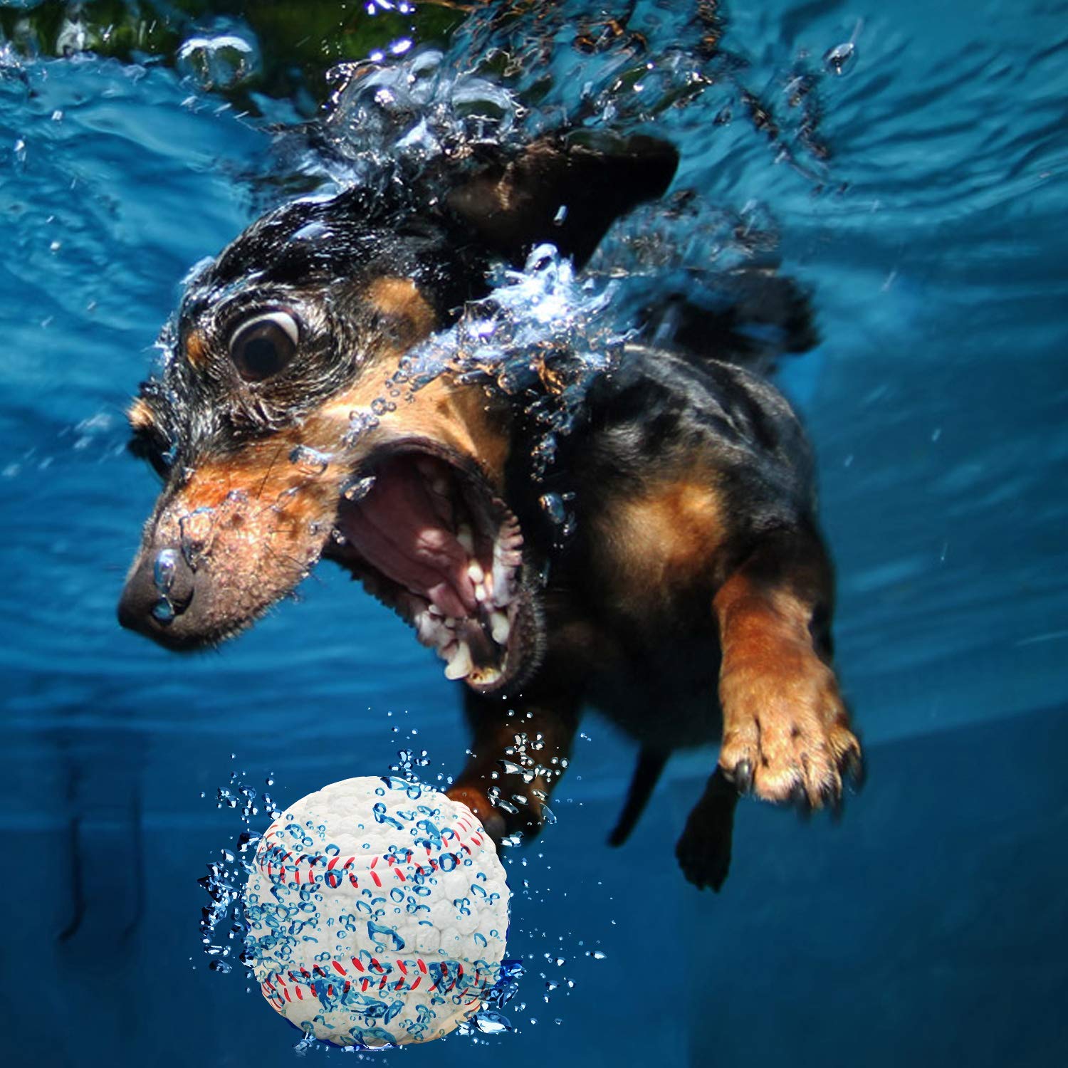 Squeaky Bouncing Chew Ball Toy