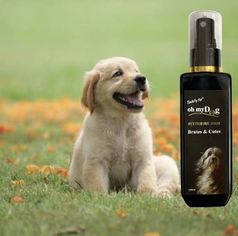 I sprayed perfume on my sale dog