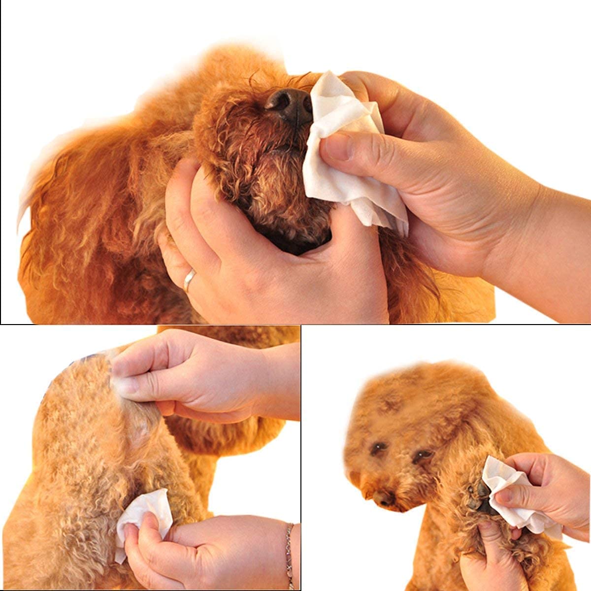 Wet Wipes for Dogs and Pets (100 pcs)