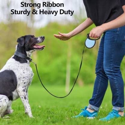 Heavy Duty Tangle Free Pet Leash (Large- 5M)