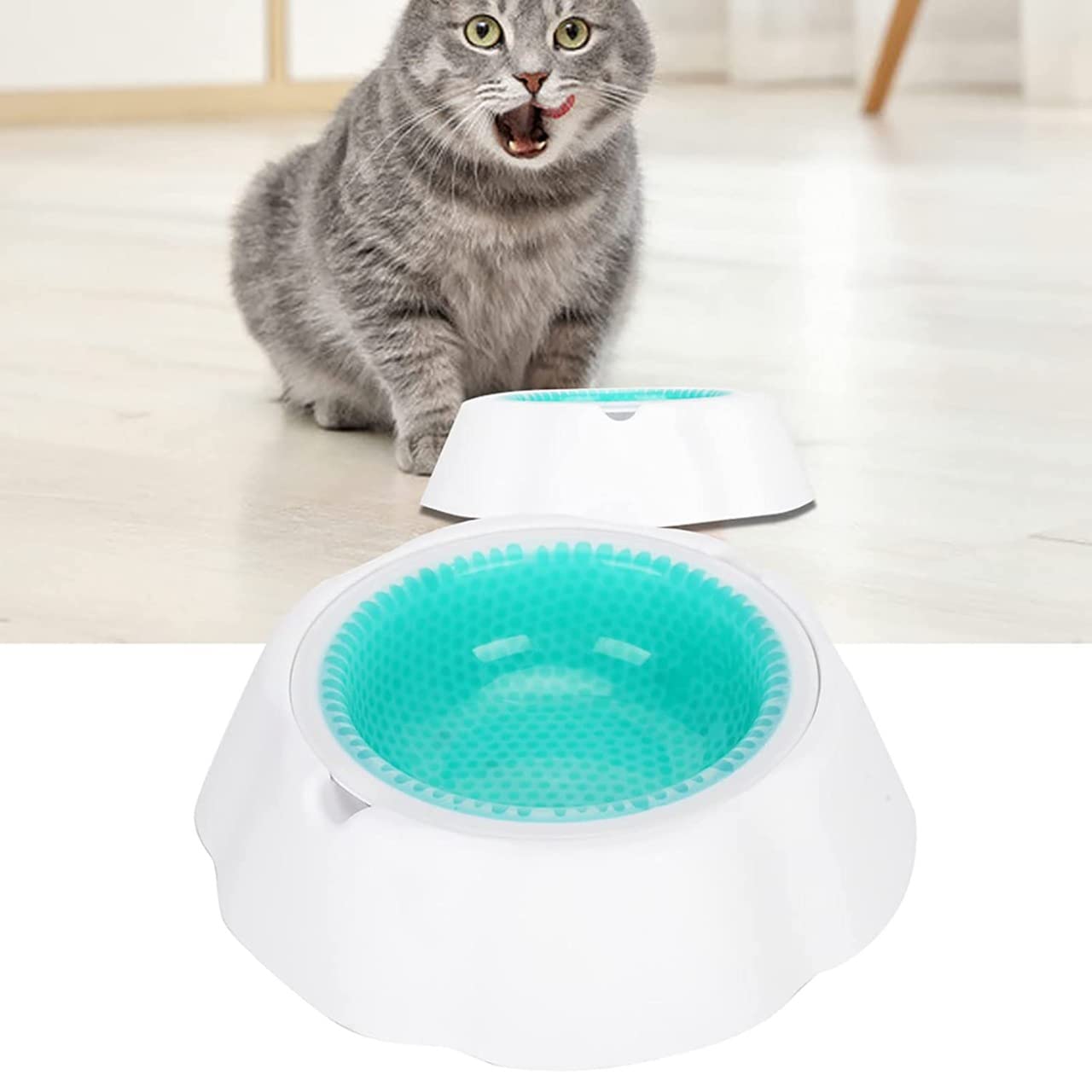 Feeding Pet Cool Water Bowl