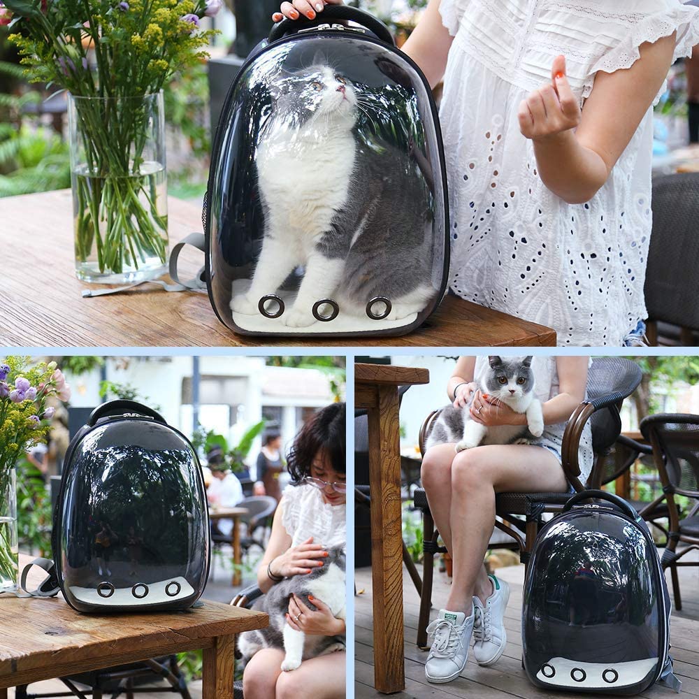 Transparent Capsule Breathable Backpack for Puppies & Cats