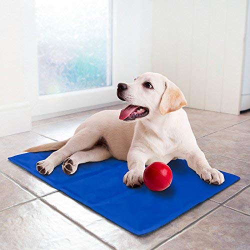 DOGTOWN Heat Relief Pressure Activated Comfort Soft Cooling Bed Pad for Puppies, Dogs and Cats